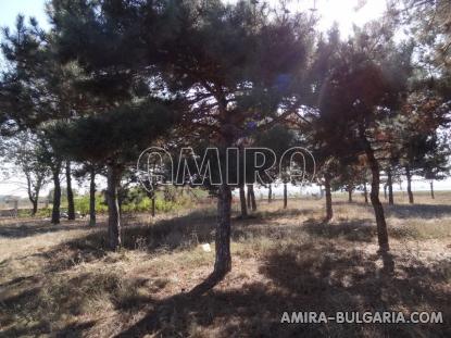 House with big plot 8km from the beach 10