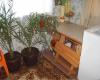 Furnished house with garage in Bulgaria room 3